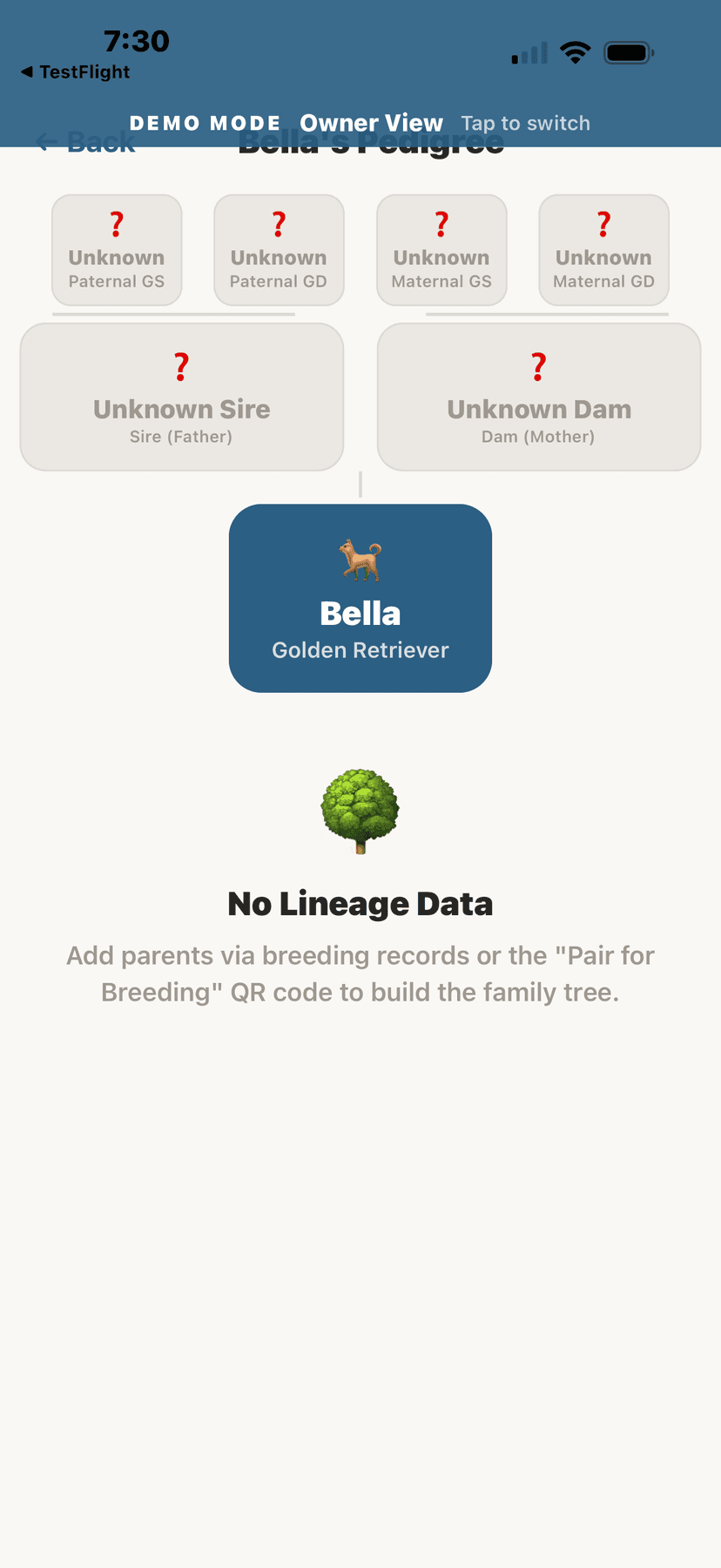 Family tree pedigree visualization