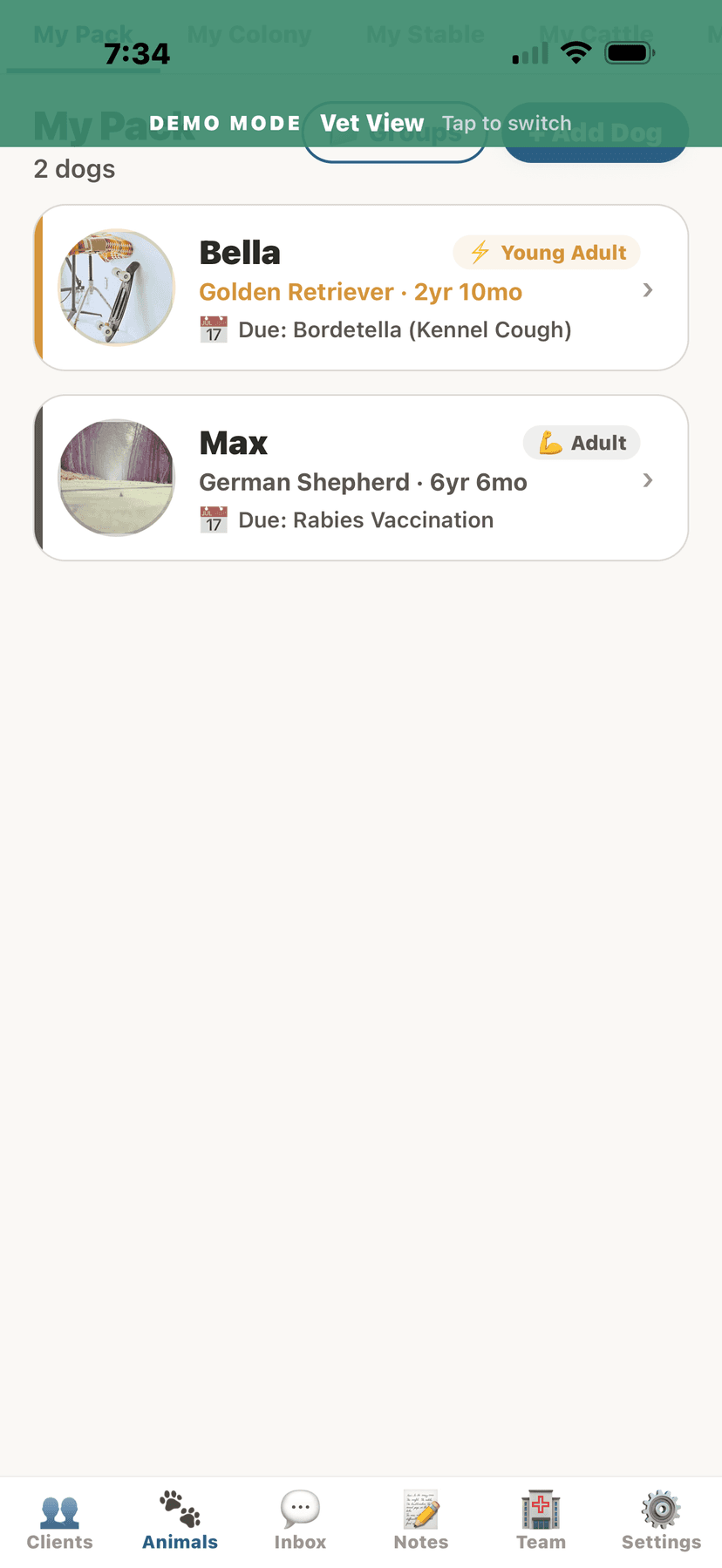 Animals list in vet view