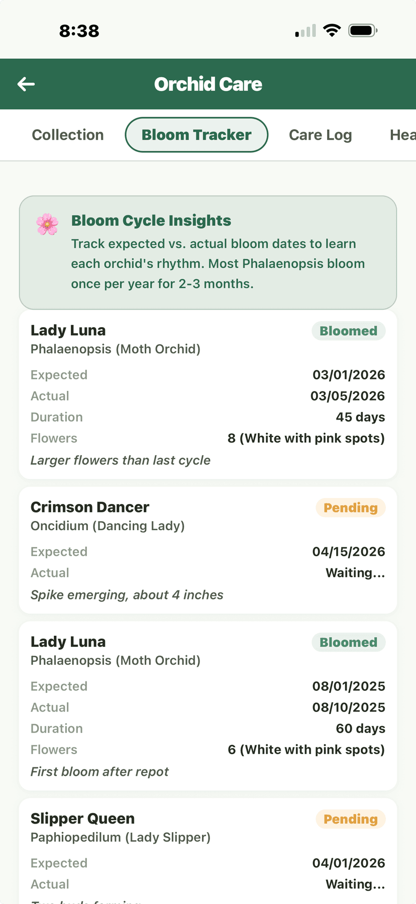 Orchid bloom cycle tracker