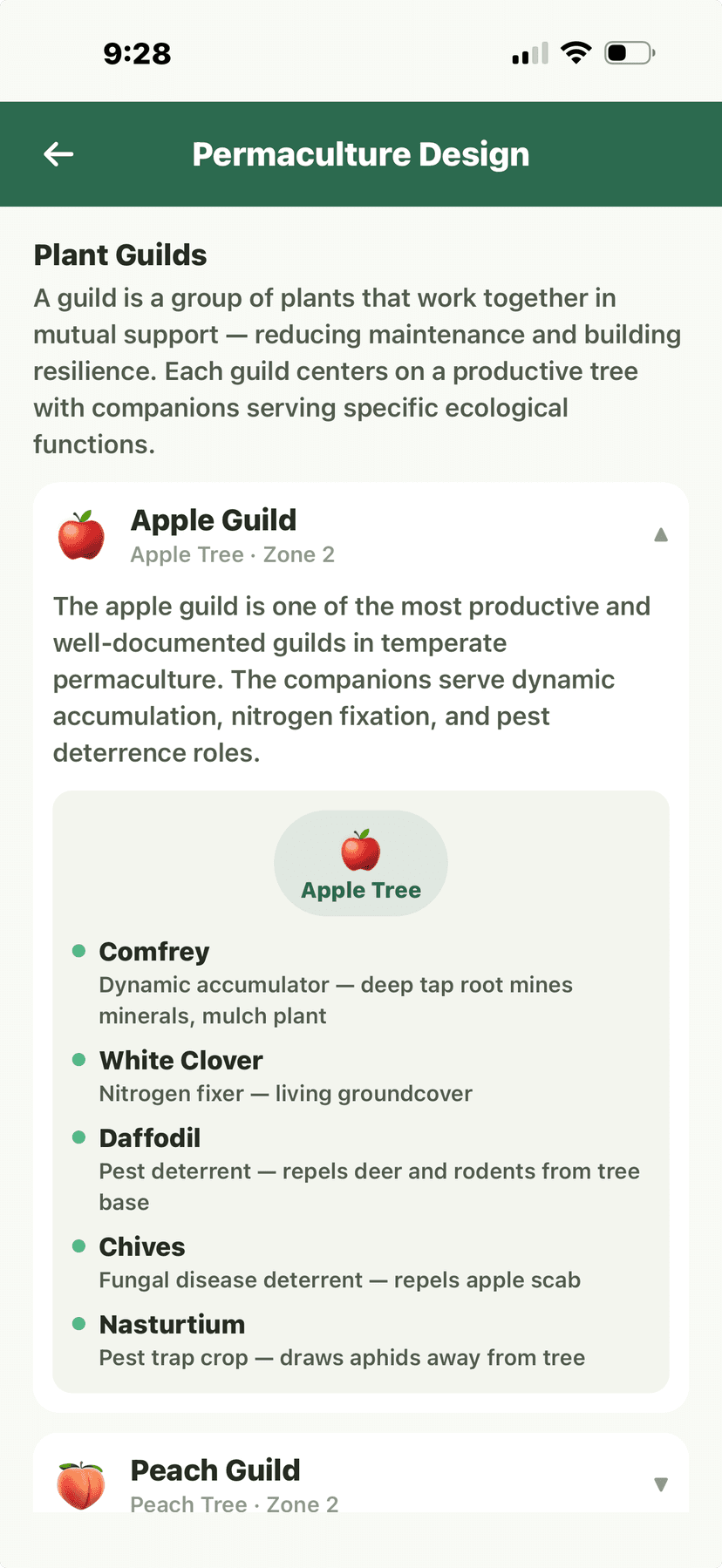 Permaculture plant guilds with companion species